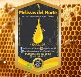 Miel de abejas pura
